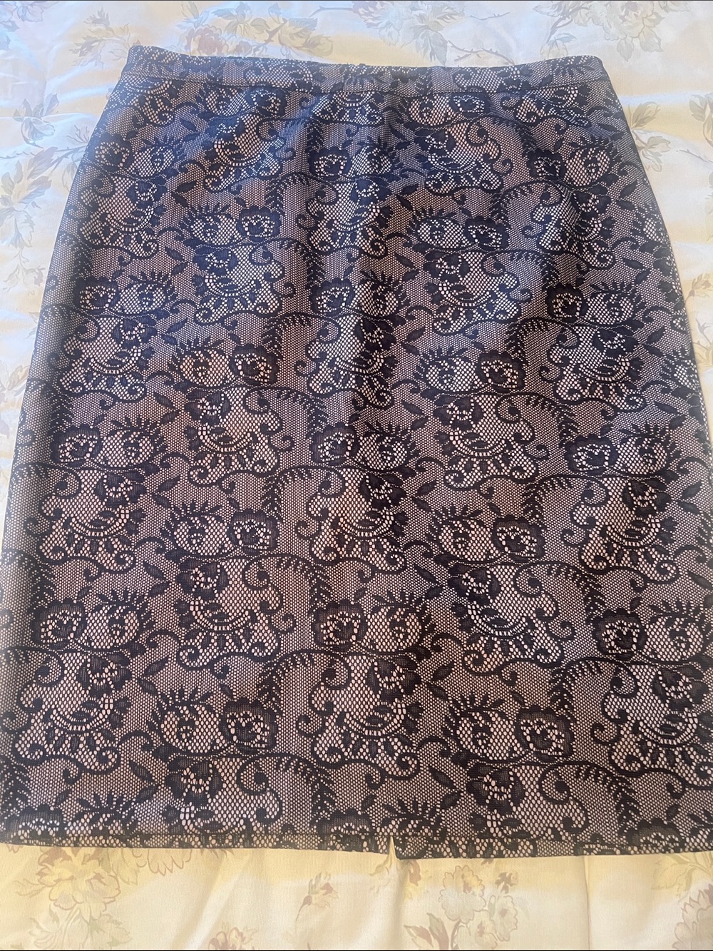 The Limited Black Lace Overlay Pencil Skirt with Cream Lining